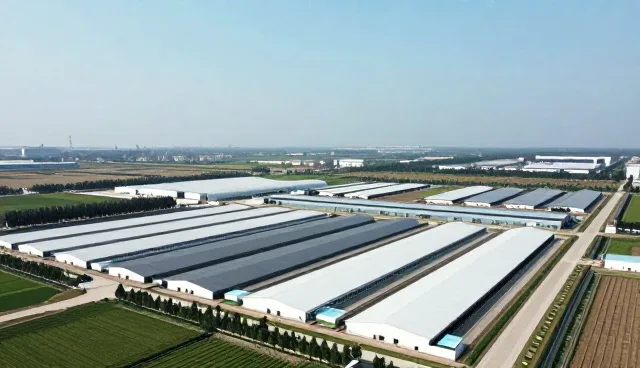 软件研发项目执行中的品质保障要点与限制